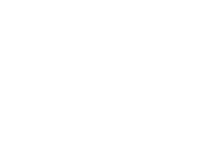 – Ai Development Studio